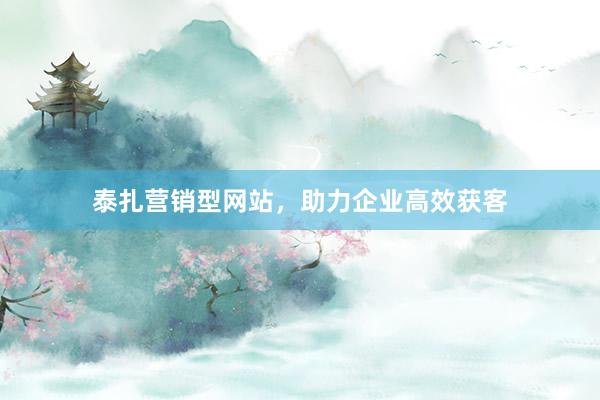 泰扎营销型网站，助力企业高效获客
